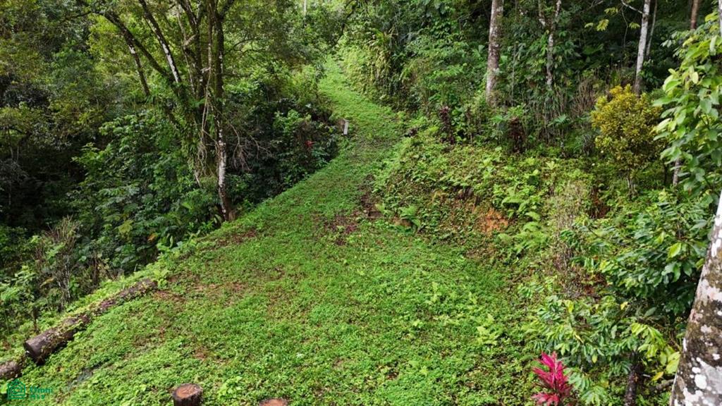 Tropical Oasis with Unmatched Views of the Diamante Waterfall , Tinamaste, Perez Zeledon, San Jose