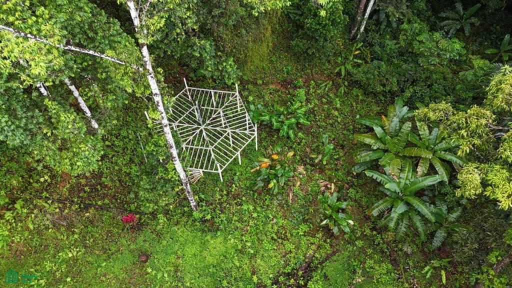 Tropical Oasis with Unmatched Views of the Diamante Waterfall , Tinamaste, Perez Zeledon, San Jose