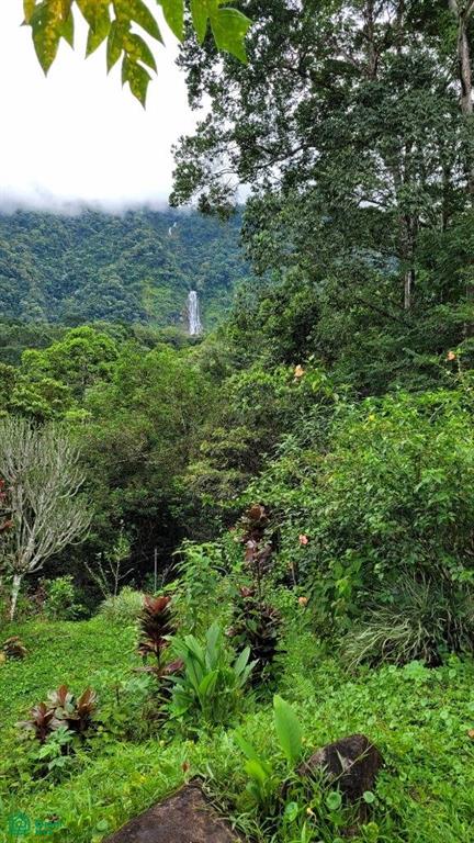 Tropical Oasis with Unmatched Views of the Diamante Waterfall , Tinamaste, Perez Zeledon, San Jose