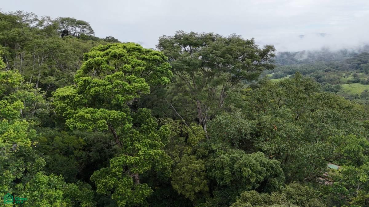 Tropical Oasis with Unmatched Views of the Diamante Waterfall , Tinamaste, Perez Zeledon, San Jose