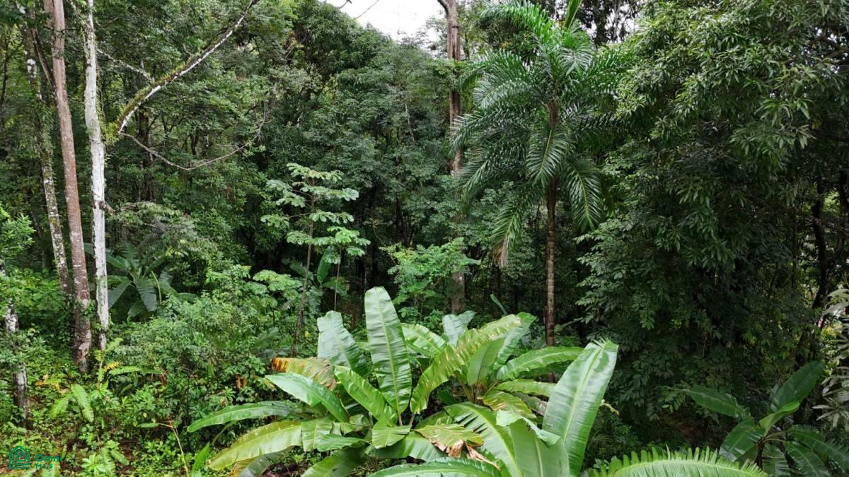 Tropical Oasis with Unmatched Views of the Diamante Waterfall , Tinamaste, Perez Zeledon, San Jose