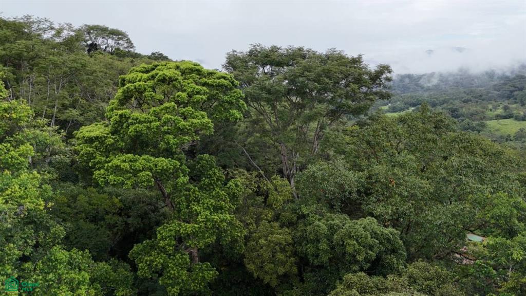 Tropical Oasis with Unmatched Views of the Diamante Waterfall , Tinamaste, Perez Zeledon, San Jose