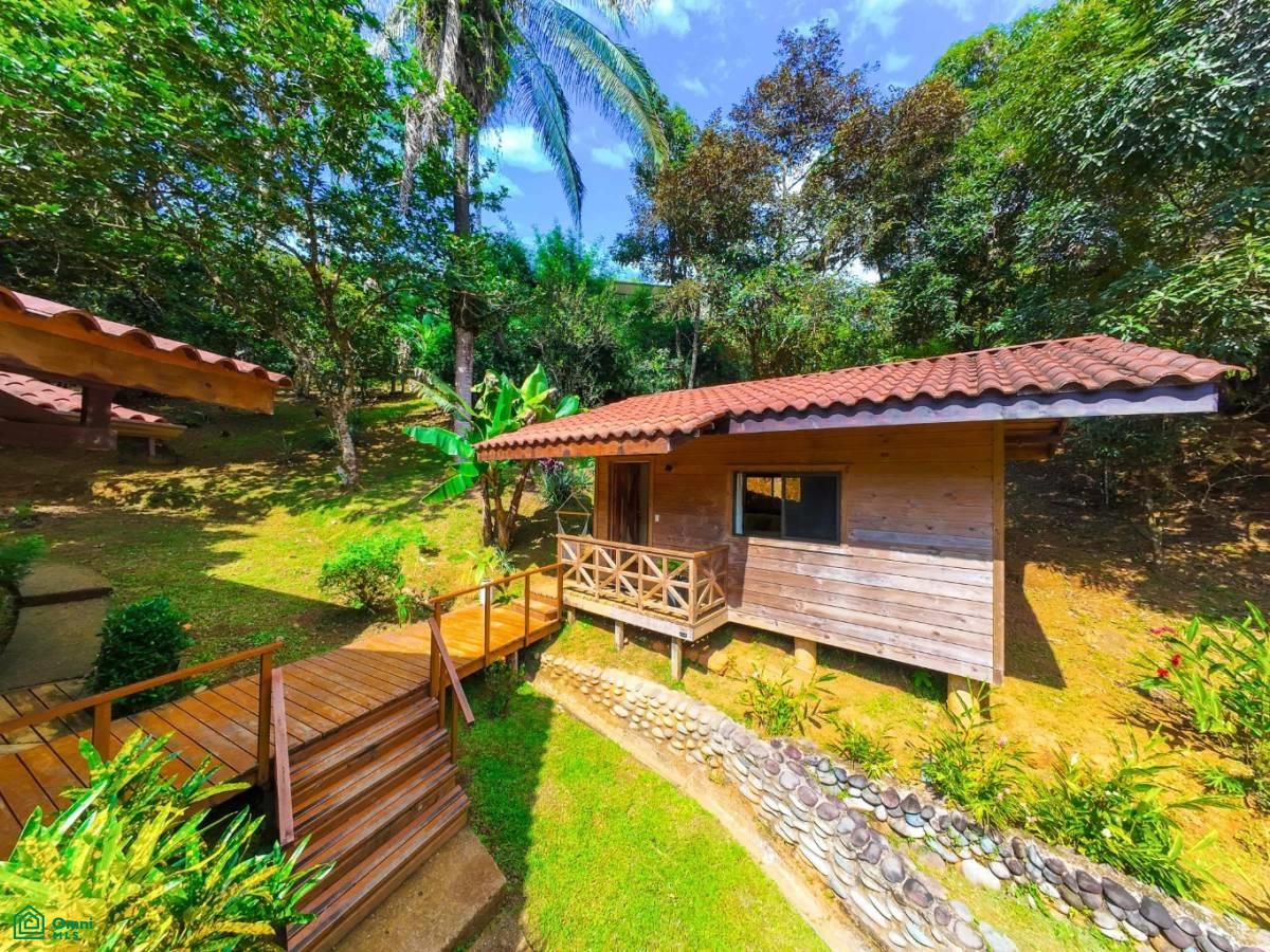Secluded Jungle Retreat with Riverfront & Expansion Potential in the Heart of Ojochal , Puerto Cortés, Osa, Puntarenas