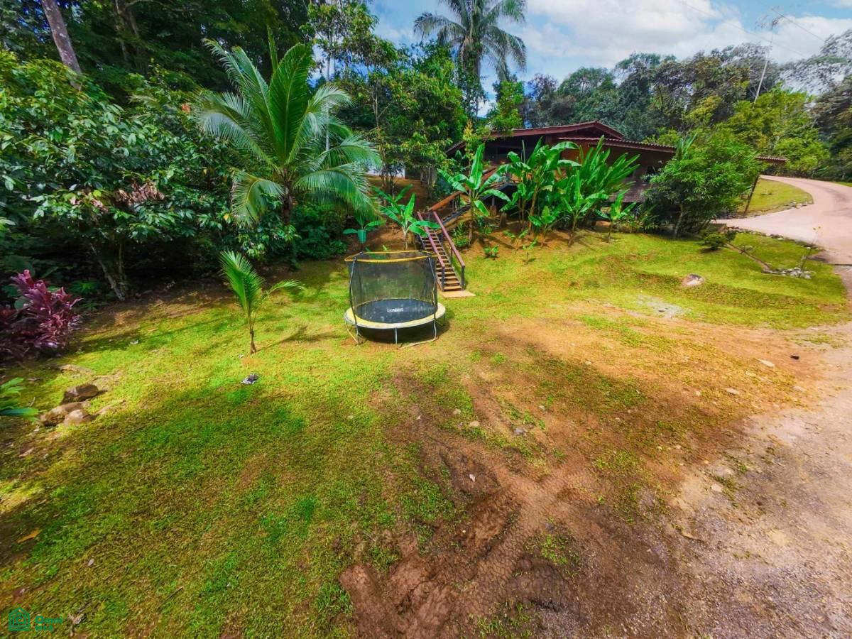 Secluded Jungle Retreat with Riverfront & Expansion Potential in the Heart of Ojochal , Puerto Cortés, Osa, Puntarenas