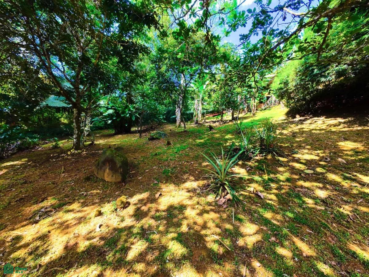Secluded Jungle Retreat with Riverfront & Expansion Potential in the Heart of Ojochal , Puerto Cortés, Osa, Puntarenas