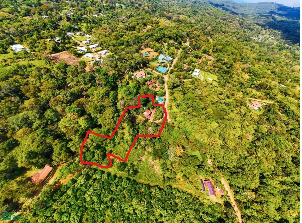 Secluded Jungle Retreat with Riverfront & Expansion Potential in the Heart of Ojochal , Puerto Cortés, Osa, Puntarenas