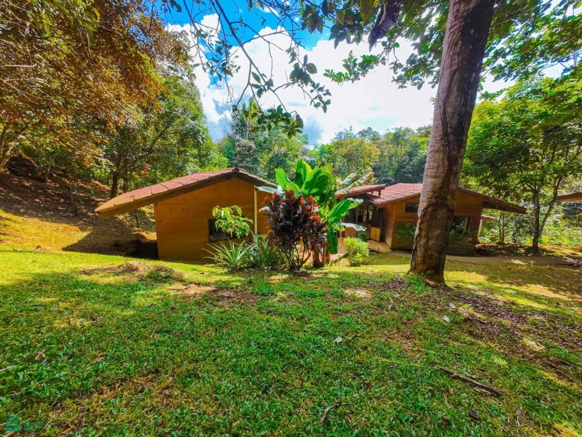 Secluded Jungle Retreat with Riverfront & Expansion Potential in the Heart of Ojochal , Puerto Cortés, Osa, Puntarenas