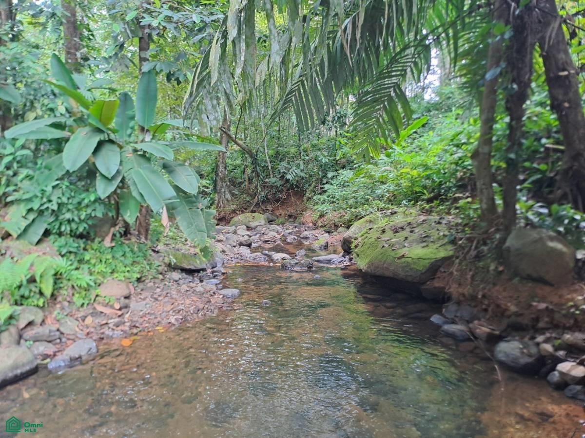 Secluded Jungle Retreat with Riverfront & Expansion Potential in the Heart of Ojochal , Puerto Cortés, Osa, Puntarenas