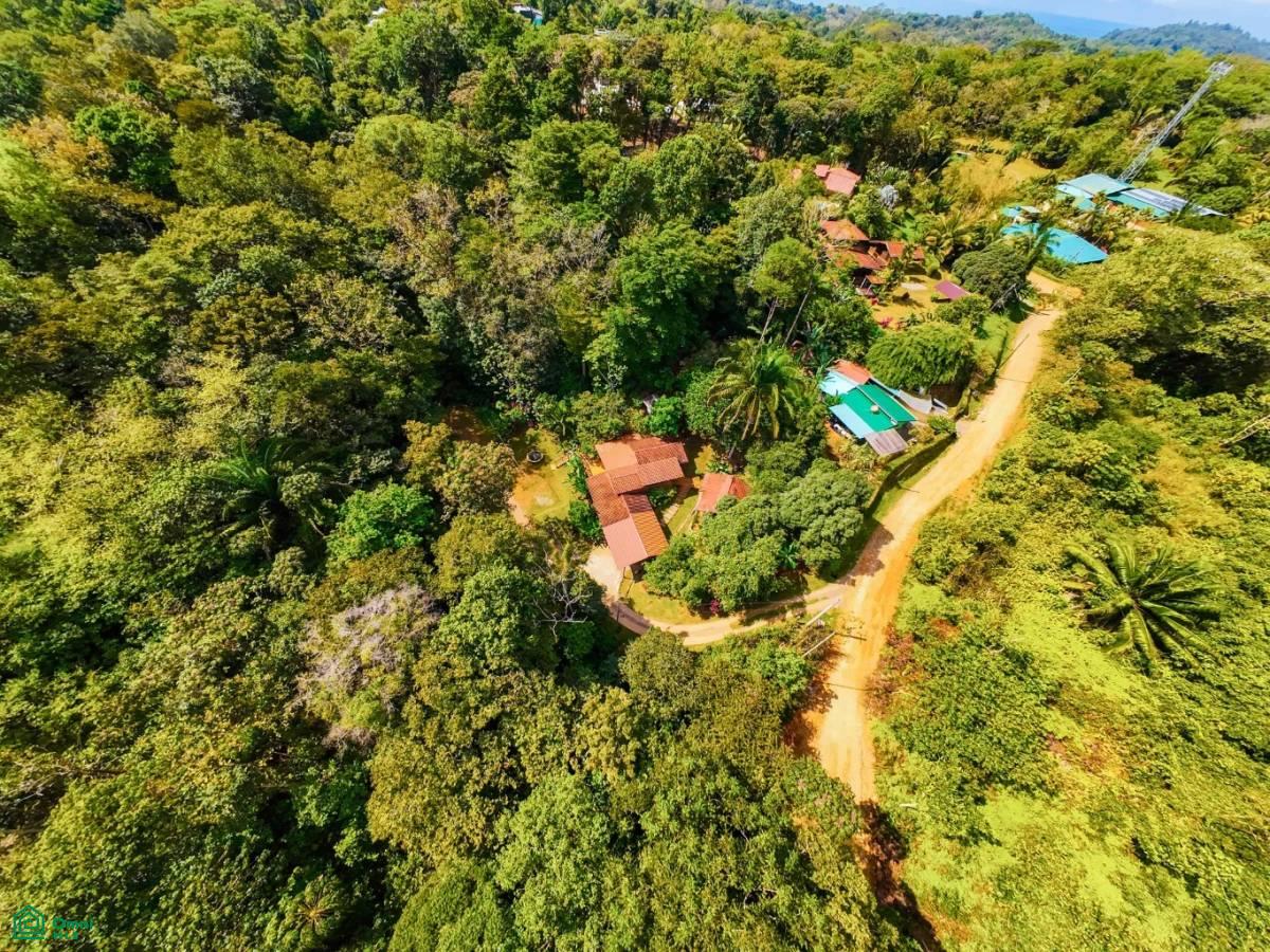 Secluded Jungle Retreat with Riverfront & Expansion Potential in the Heart of Ojochal , Puerto Cortés, Osa, Puntarenas