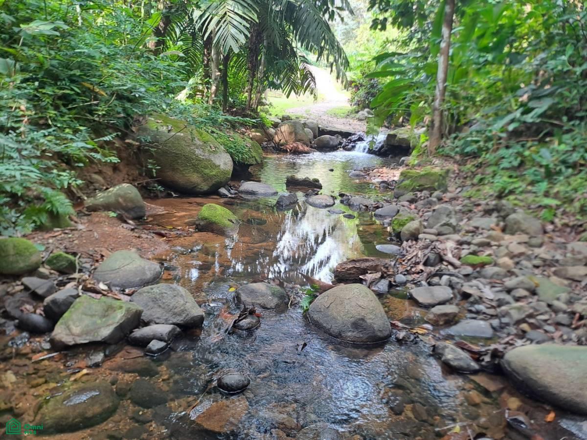 Secluded Jungle Retreat with Riverfront & Expansion Potential in the Heart of Ojochal , Puerto Cortés, Osa, Puntarenas