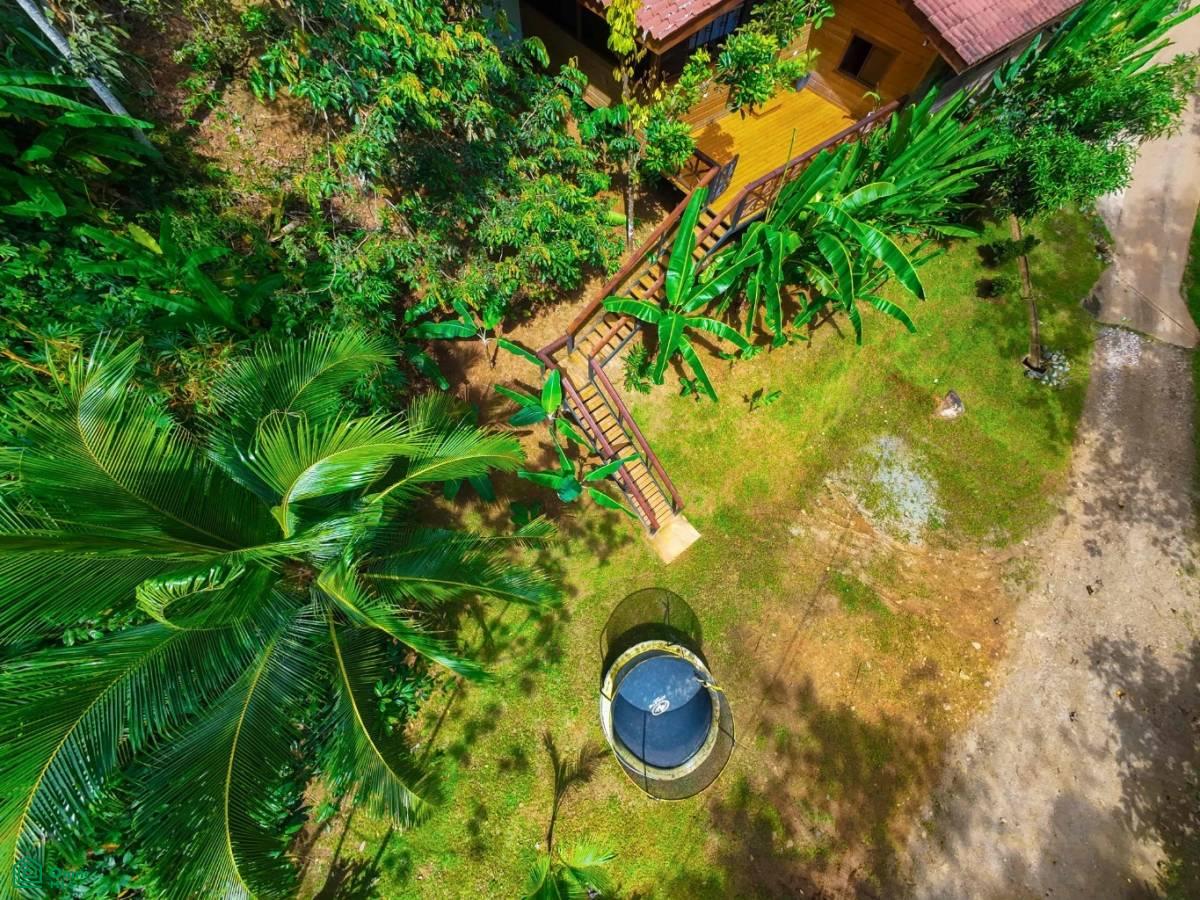 Secluded Jungle Retreat with Riverfront & Expansion Potential in the Heart of Ojochal , Puerto Cortés, Osa, Puntarenas