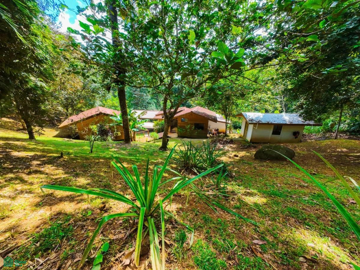 Secluded Jungle Retreat with Riverfront & Expansion Potential in the Heart of Ojochal , Puerto Cortés, Osa, Puntarenas