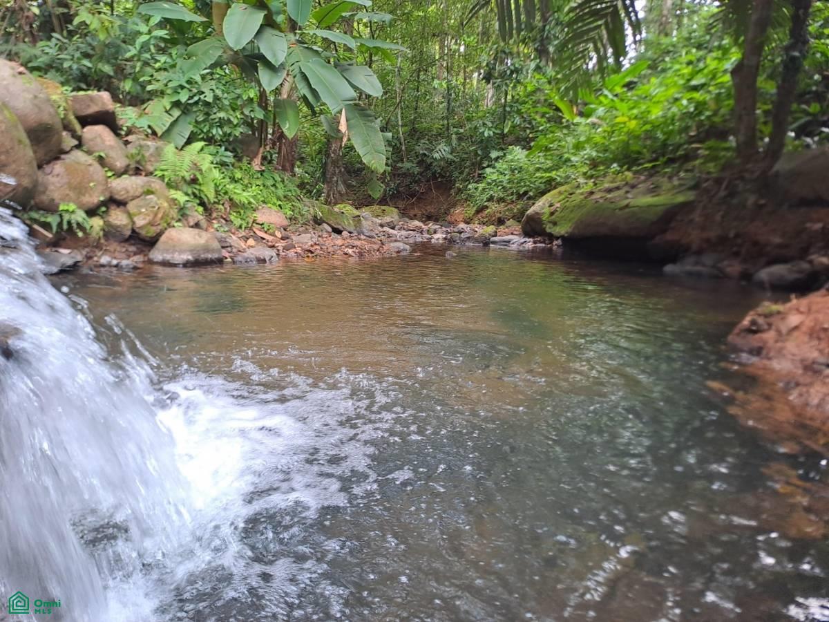 Secluded Jungle Retreat with Riverfront & Expansion Potential in the Heart of Ojochal , Puerto Cortés, Osa, Puntarenas