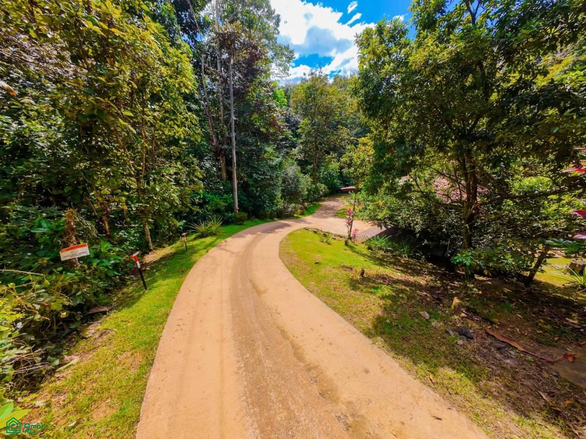 Secluded Jungle Retreat with Riverfront & Expansion Potential in the Heart of Ojochal , Puerto Cortés, Osa, Puntarenas