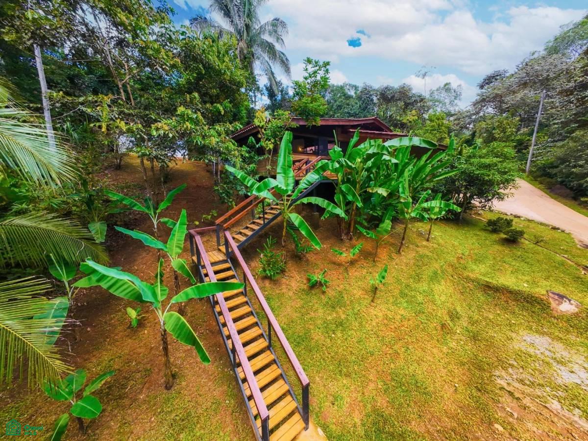 Secluded Jungle Retreat with Riverfront & Expansion Potential in the Heart of Ojochal , Puerto Cortés, Osa, Puntarenas