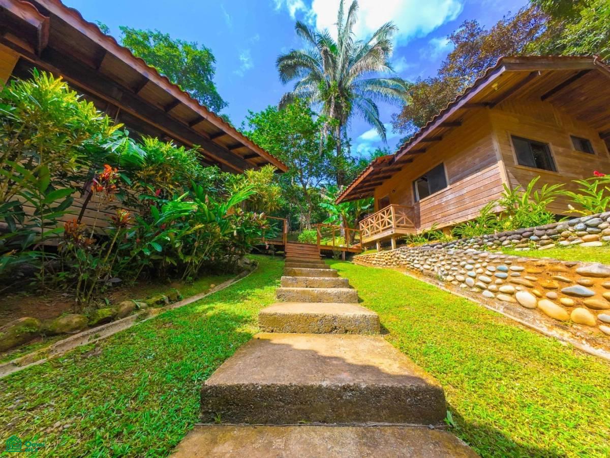 Secluded Jungle Retreat with Riverfront & Expansion Potential in the Heart of Ojochal , Puerto Cortés, Osa, Puntarenas