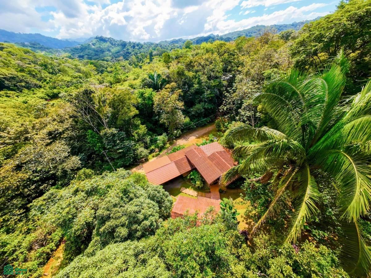 Secluded Jungle Retreat with Riverfront & Expansion Potential in the Heart of Ojochal , Puerto Cortés, Osa, Puntarenas