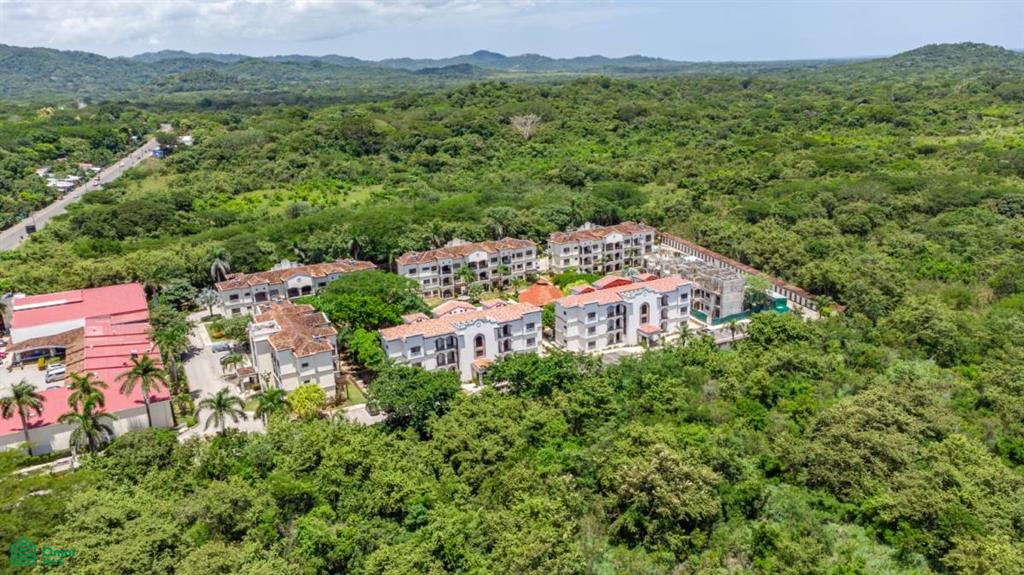 Palmas de Tamarindo 204D