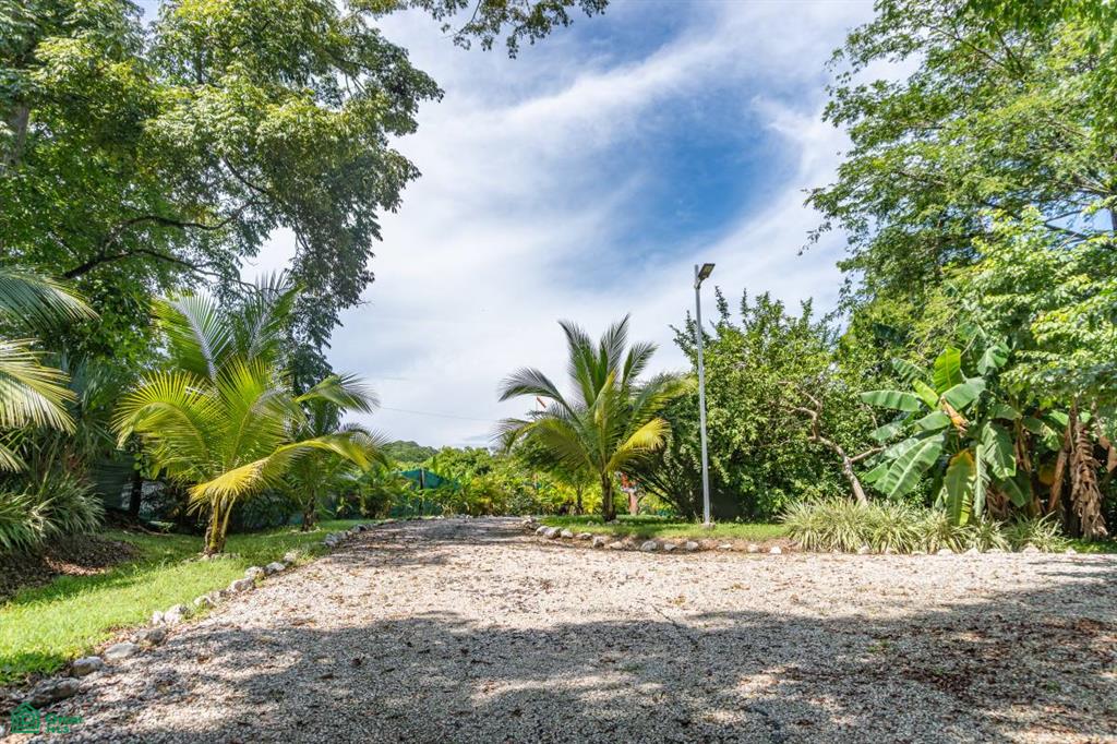 Tuki Tuki Investment Hotel