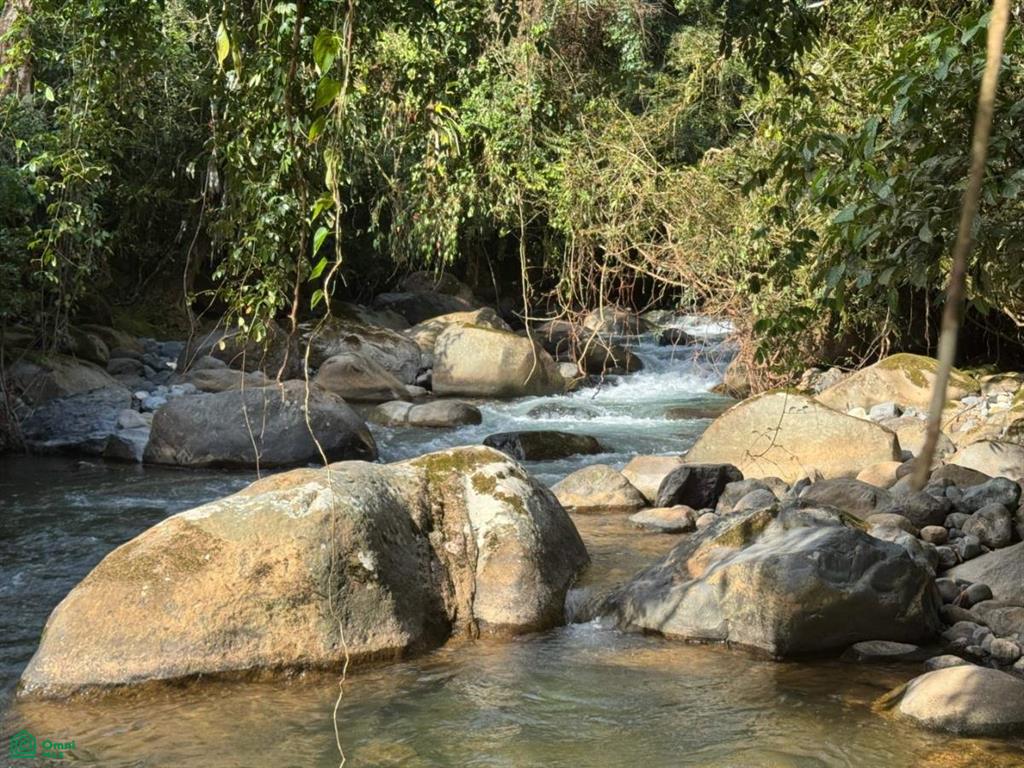 Casa Monte Sereno , San Isidro del General, Perez Zeledon, San Jose
