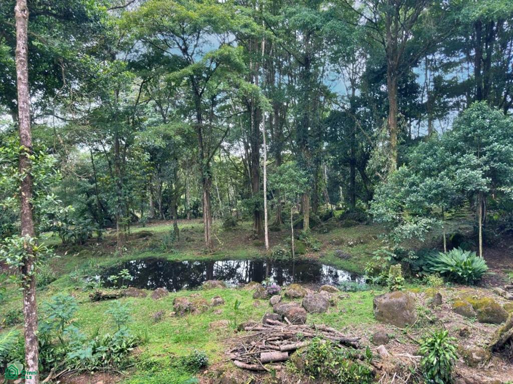 Casa Monte Sereno , San Isidro del General, Perez Zeledon, San Jose