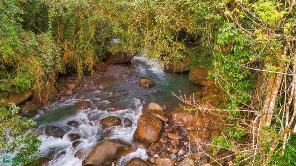 Casa Monte Sereno , San Isidro del General, Perez Zeledon, San Jose