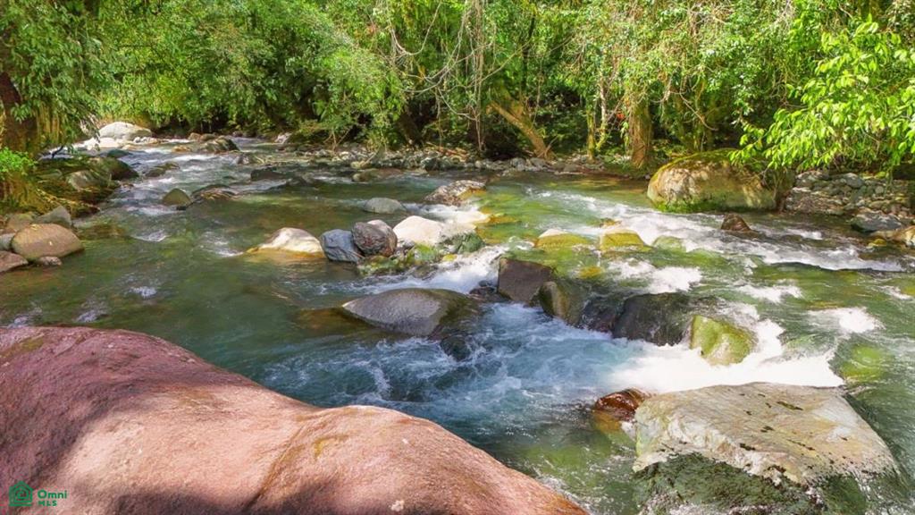 Casa Monte Sereno , San Isidro del General, Perez Zeledon, San Jose