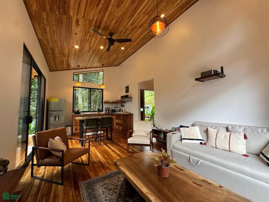 Casa Monte Sereno , San Isidro del General, Perez Zeledon, San Jose