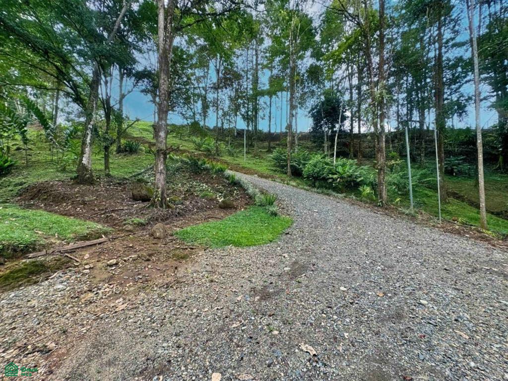 Casa Monte Sereno , San Isidro del General, Perez Zeledon, San Jose