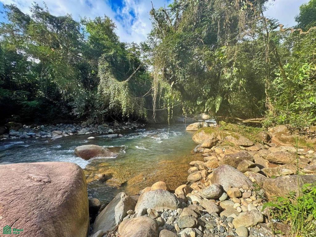 Casa Monte Sereno , San Isidro del General, Perez Zeledon, San Jose
