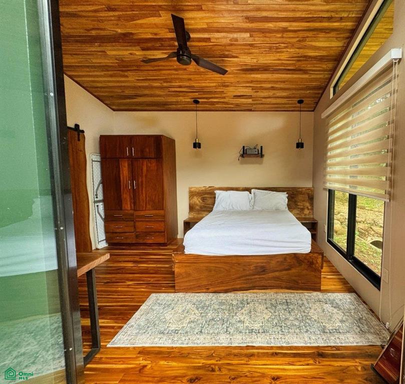 Casa Monte Sereno , San Isidro del General, Perez Zeledon, San Jose