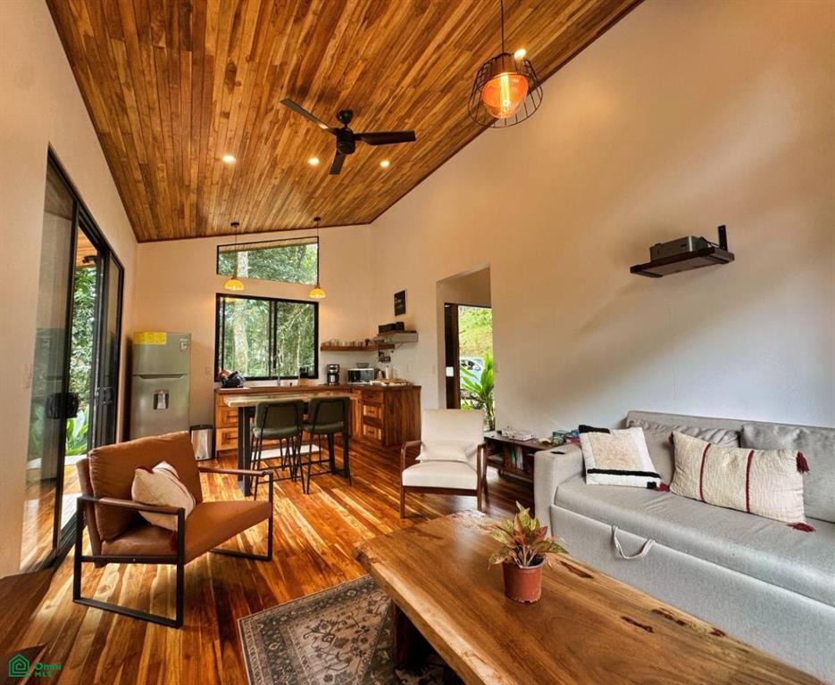 Casa Monte Sereno , San Isidro del General, Perez Zeledon, San Jose