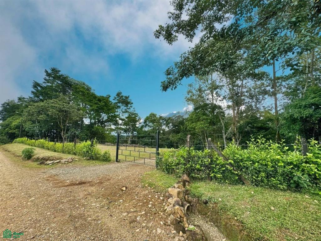 Casa Monte Sereno , San Isidro del General, Perez Zeledon, San Jose