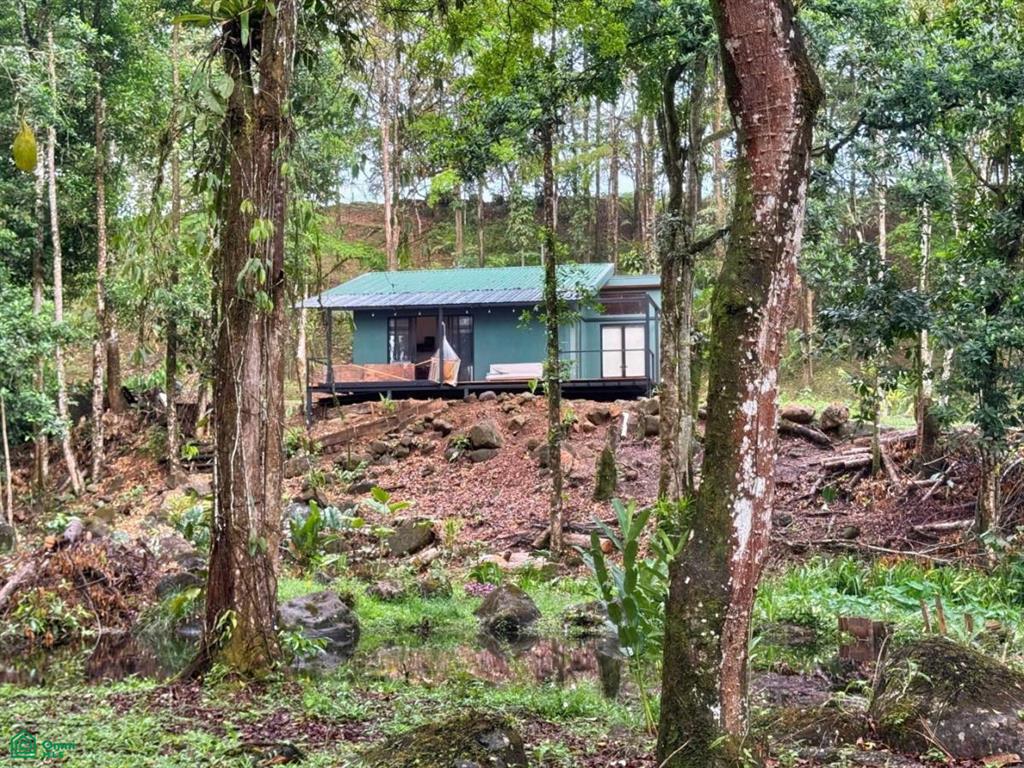 Casa Monte Sereno , San Isidro del General, Perez Zeledon, San Jose