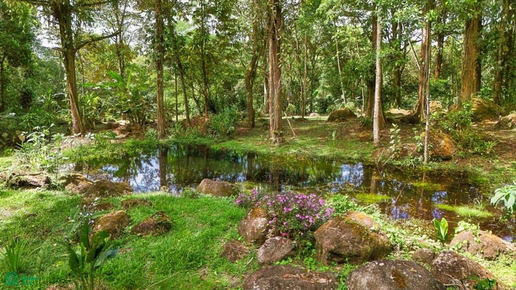 Casa Monte Sereno , San Isidro del General, Perez Zeledon, San Jose