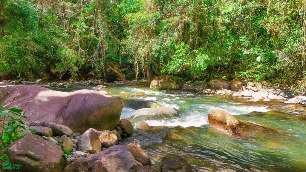 Casa Monte Sereno , San Isidro del General, Perez Zeledon, San Jose