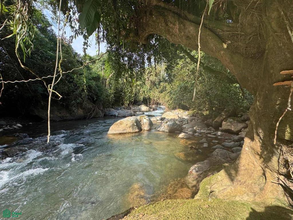Casa Monte Sereno , San Isidro del General, Perez Zeledon, San Jose