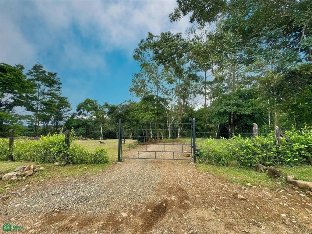 Casa Monte Sereno , San Isidro del General, Perez Zeledon, San Jose