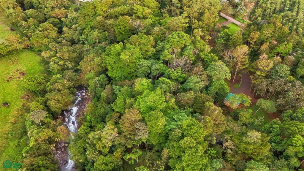 Casa Monte Sereno , San Isidro del General, Perez Zeledon, San Jose