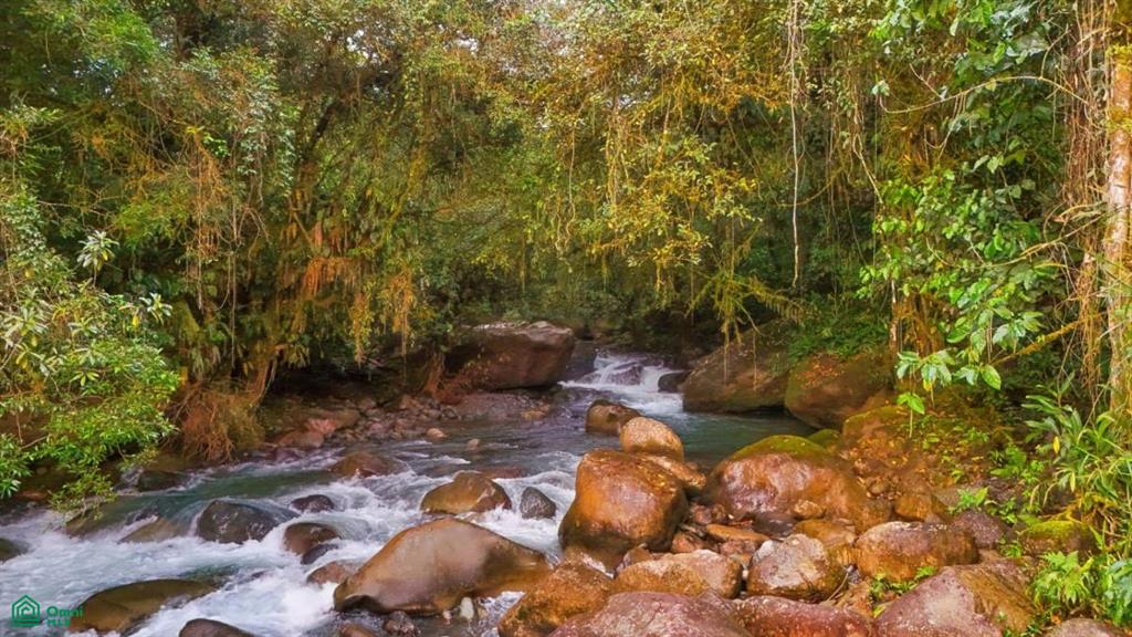 Casa Monte Sereno , San Isidro del General, Perez Zeledon, San Jose