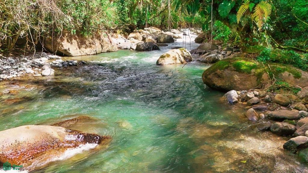 Casa Monte Sereno , San Isidro del General, Perez Zeledon, San Jose