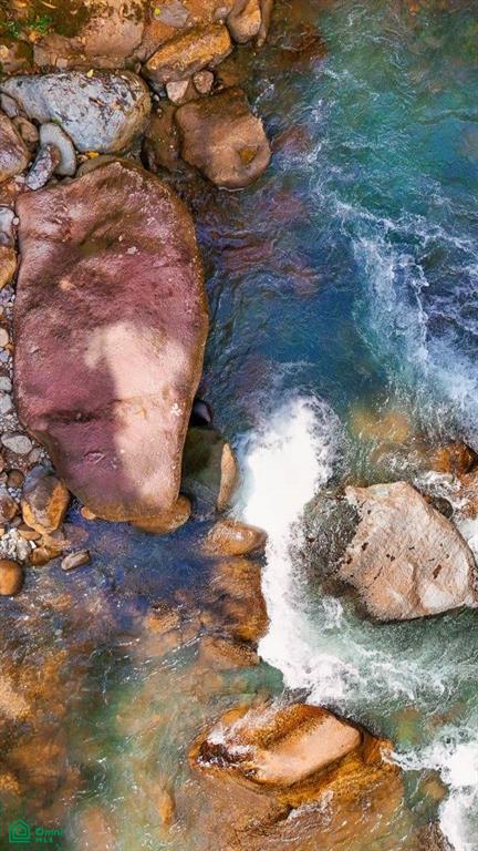 Casa Monte Sereno , San Isidro del General, Perez Zeledon, San Jose