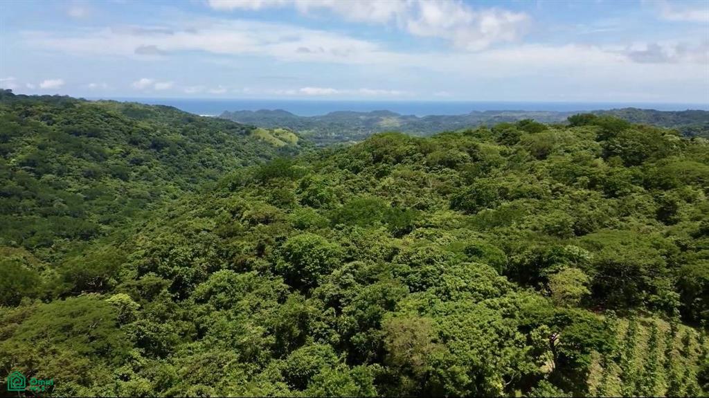 Finca Naranjalito Hills , Sámara, Guanacaste