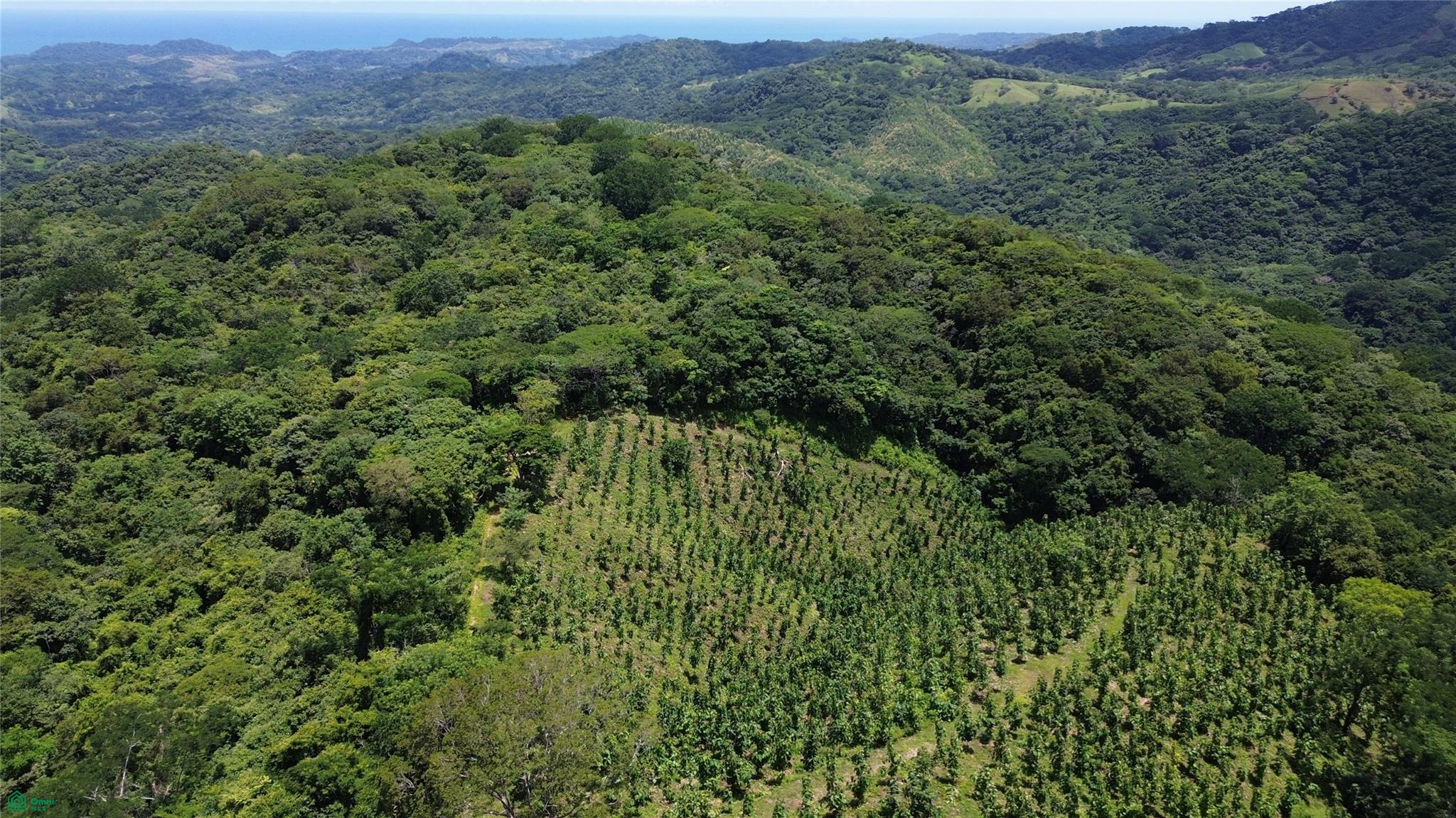 Finca Naranjalito Hills , Sámara, Guanacaste