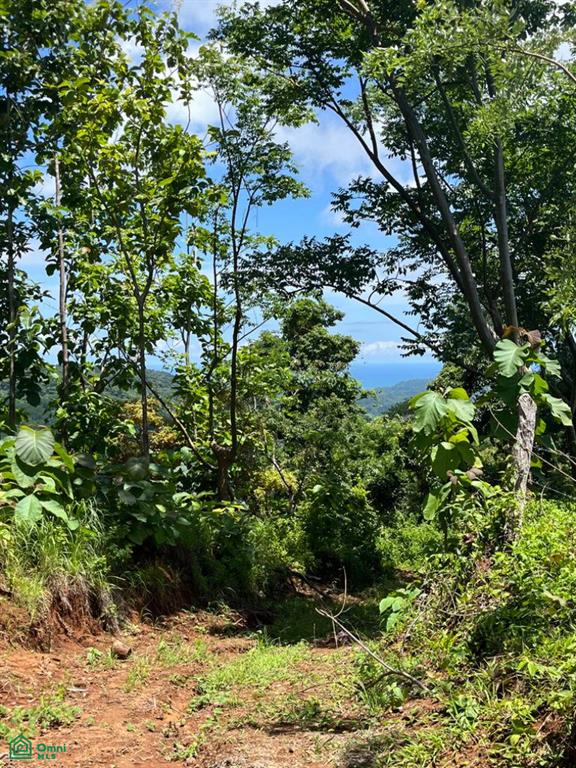 Finca Naranjalito Hills , Sámara, Guanacaste