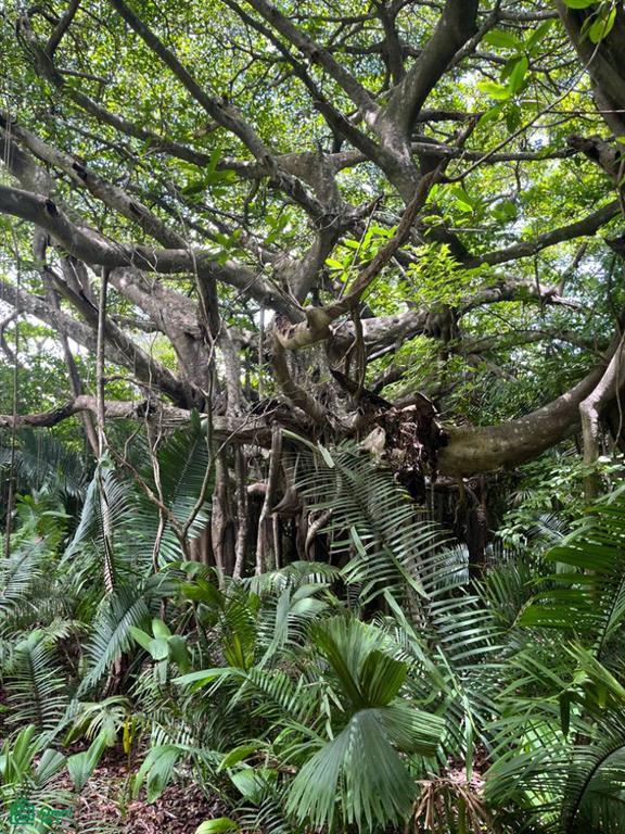 Finca Naranjalito Hills , Sámara, Guanacaste