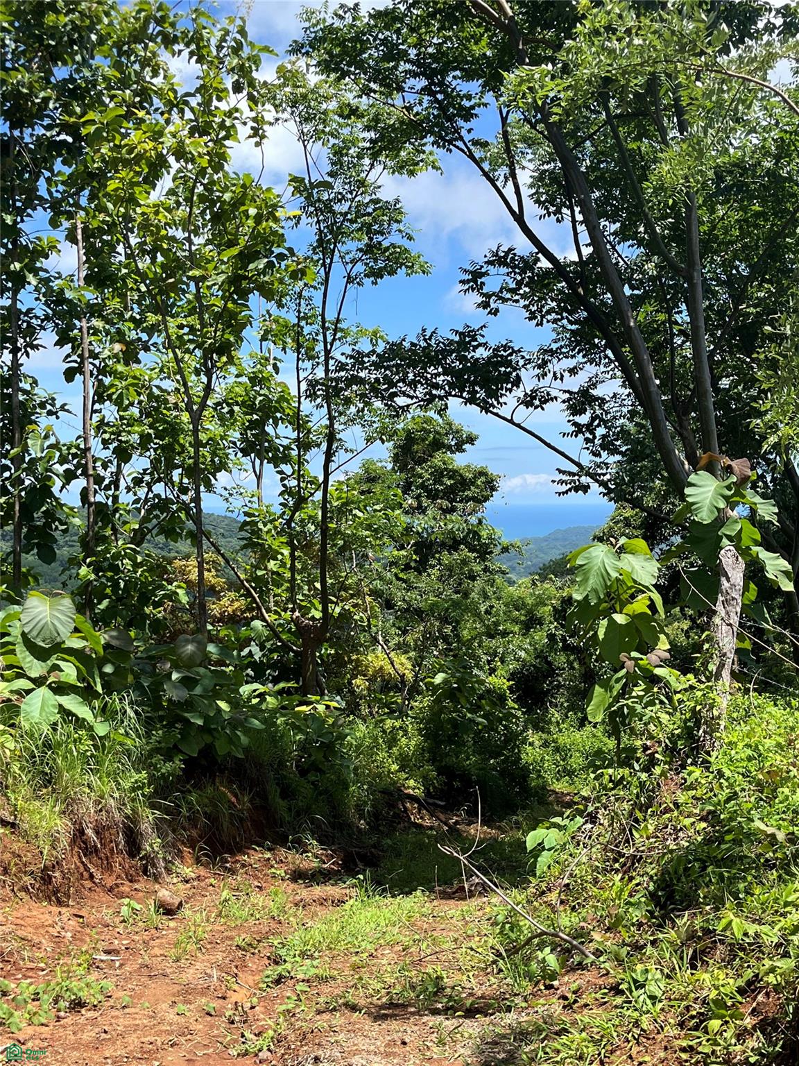 Finca Naranjalito Hills , Sámara, Guanacaste
