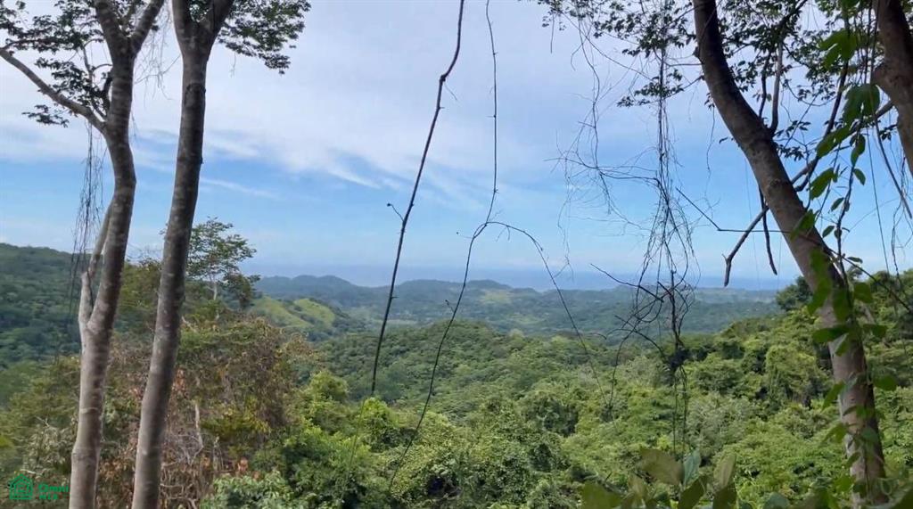 Finca Naranjalito Hills , Sámara, Guanacaste