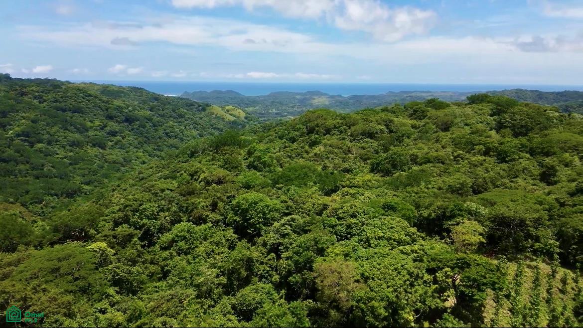Finca Naranjalito Hills , Sámara, Guanacaste