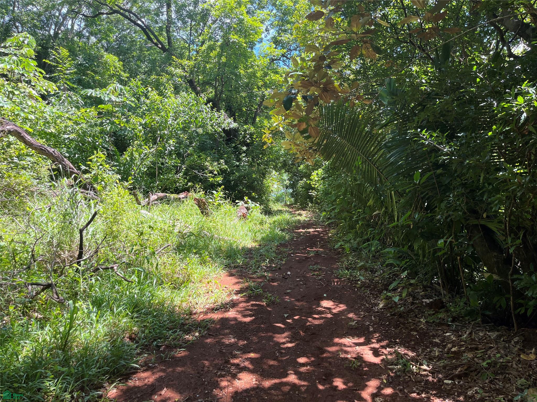 Finca Naranjalito Hills , Sámara, Guanacaste